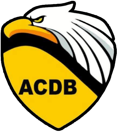 Modelo 11 - Site Megacia